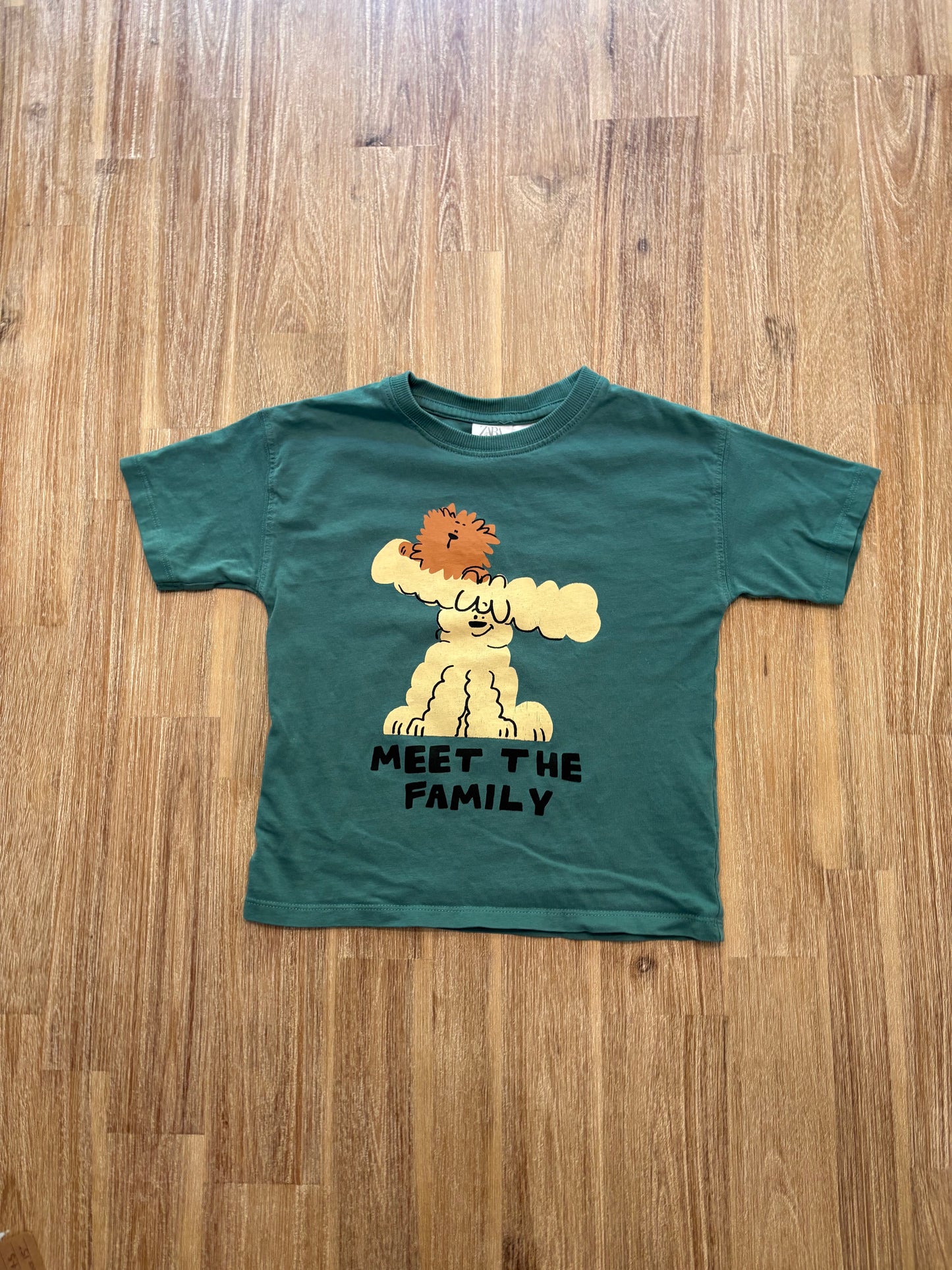 *Logo craquelé léger* 4 ans / Zara