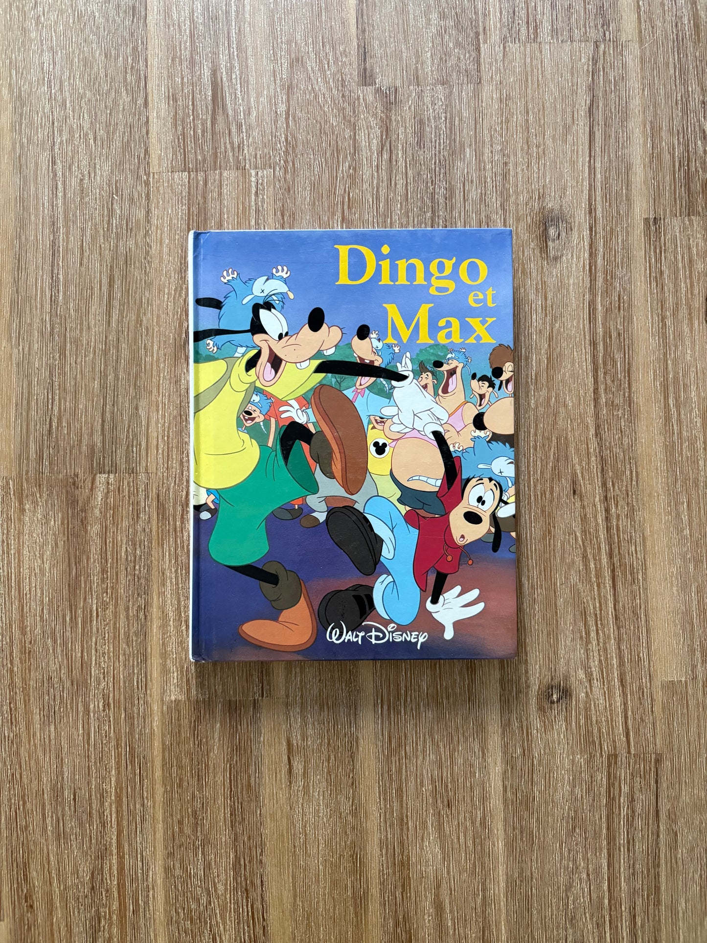 Dingo et Max (1996) *Moyen