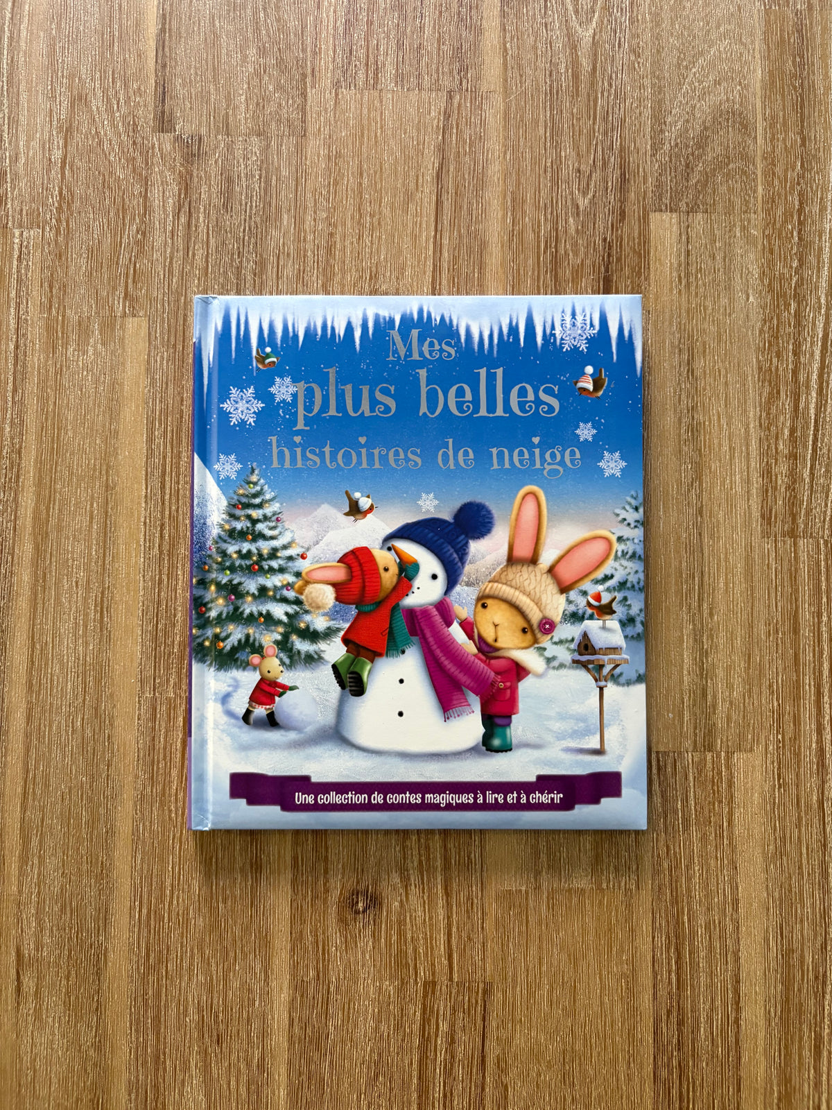 Mes plus belles histoires de neige