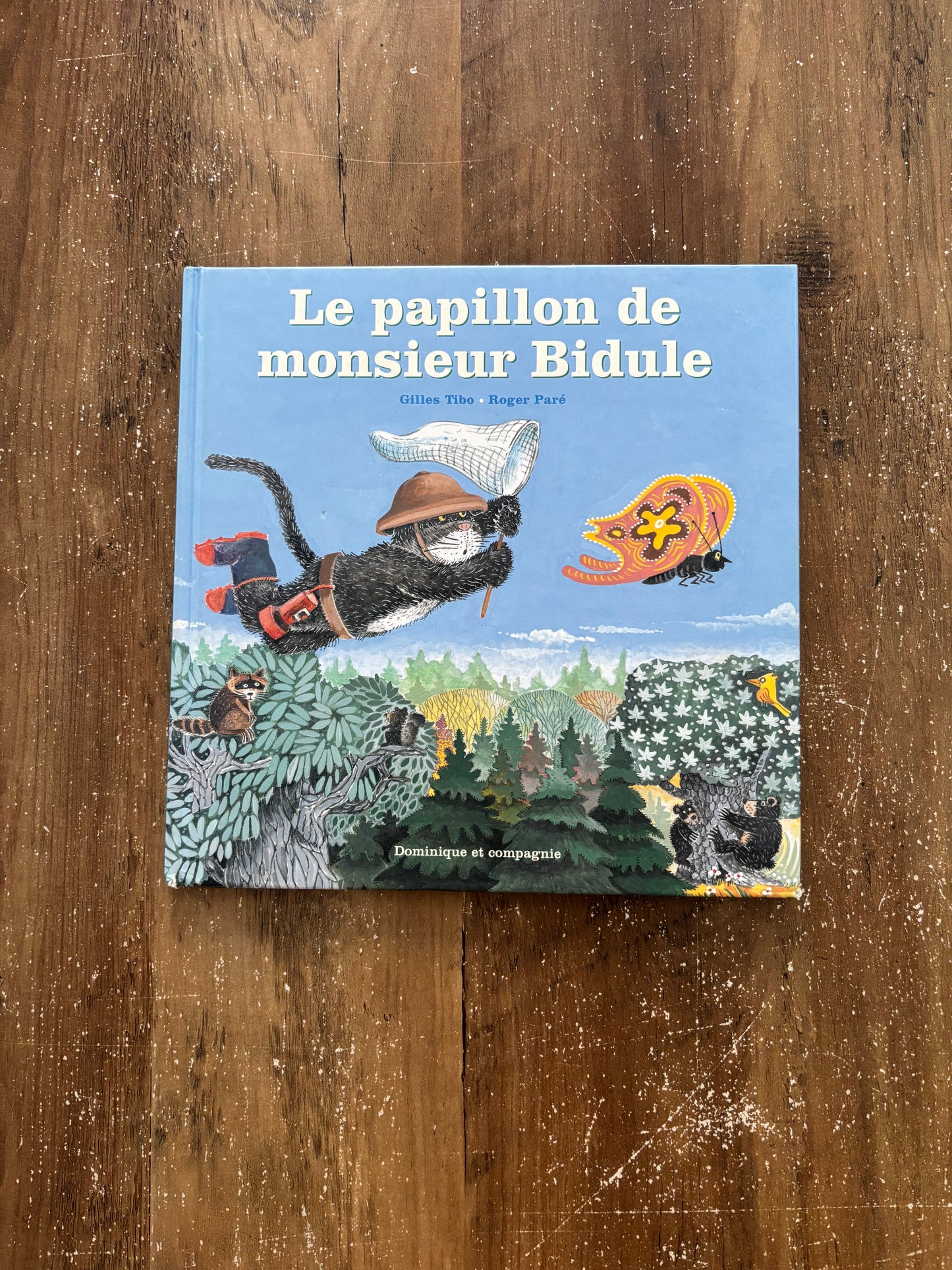Le papillion de monsieur Bidule