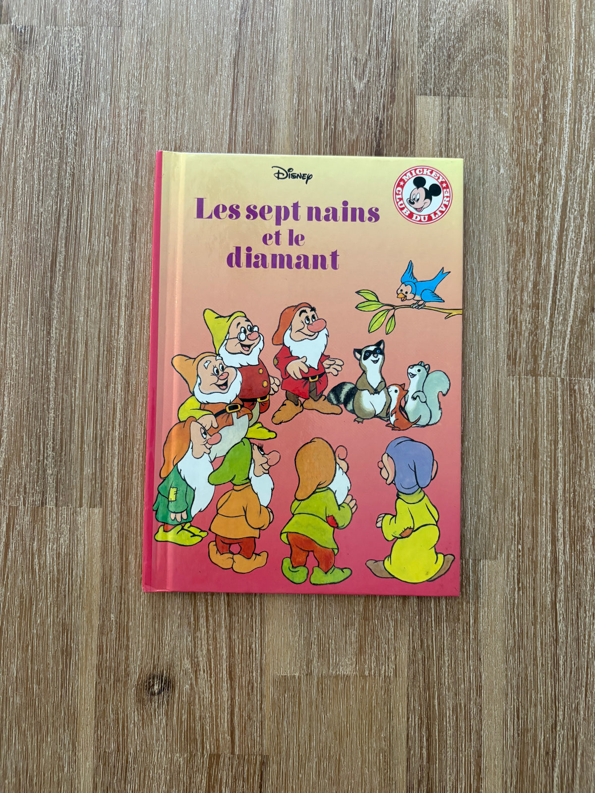 Les sept nains et le diamant