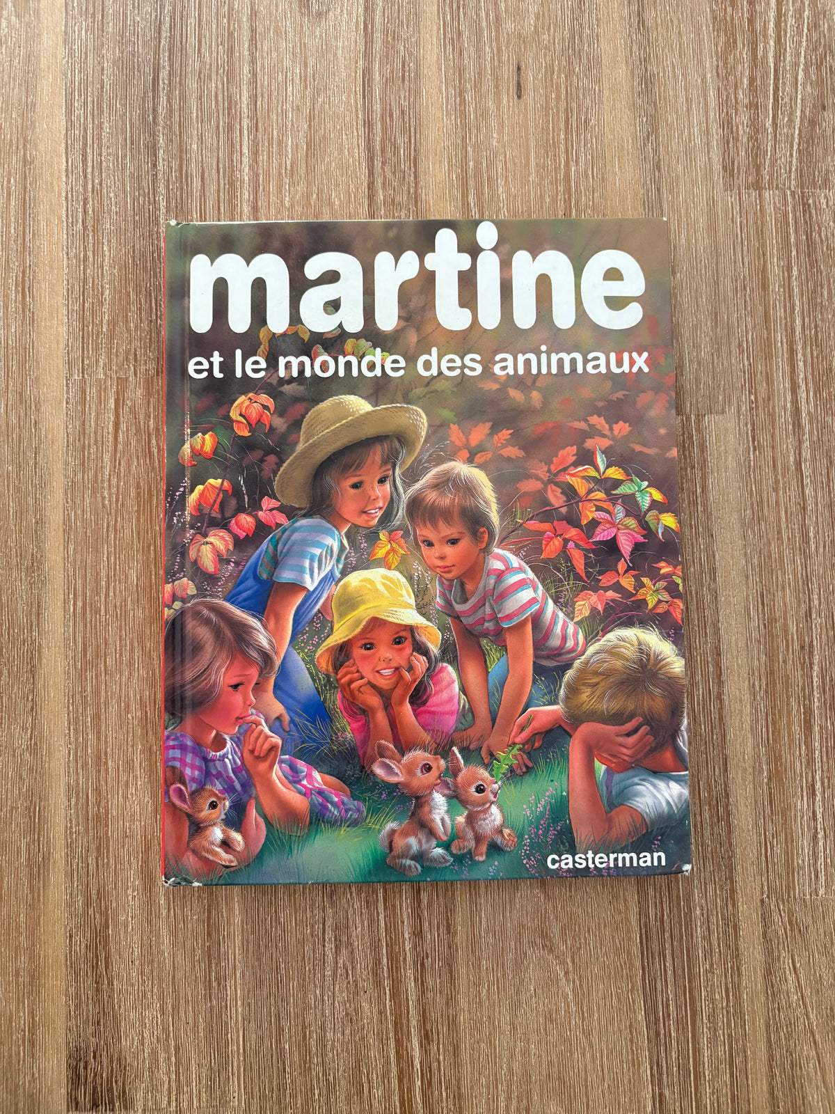 * Imparfait coins * Martine et le monde des animaux * 8 histoire