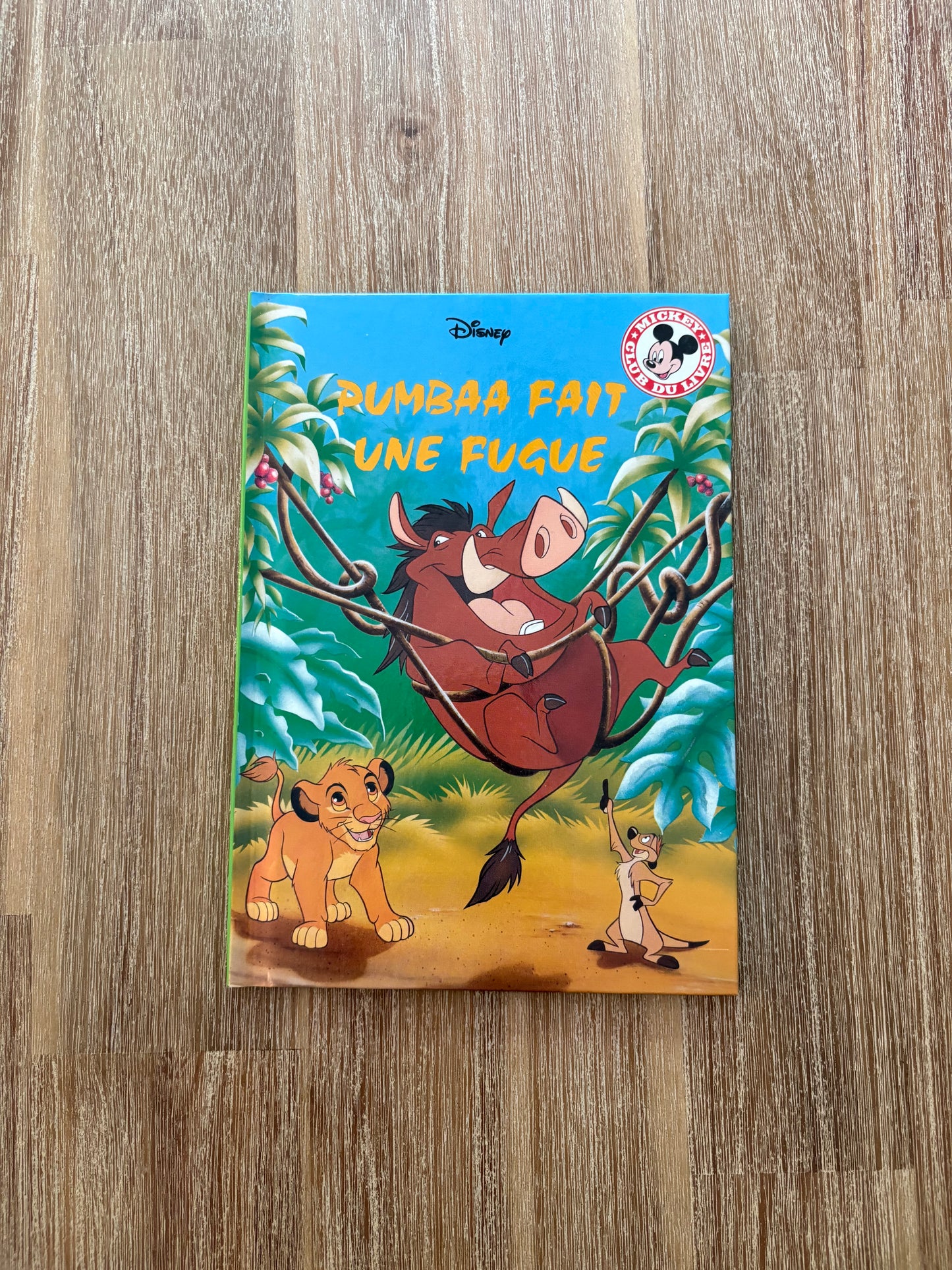 Pumbaa fait une fugue