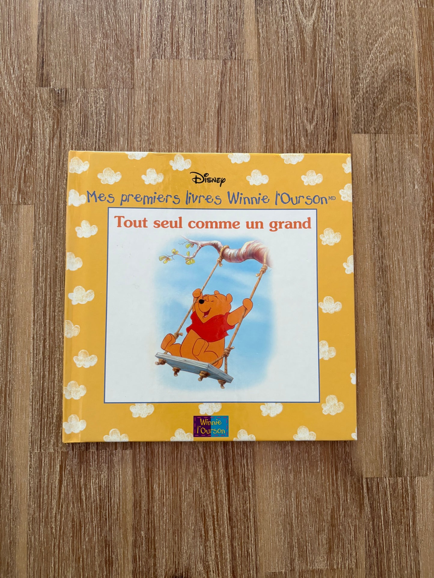 Tout seul comme un grand