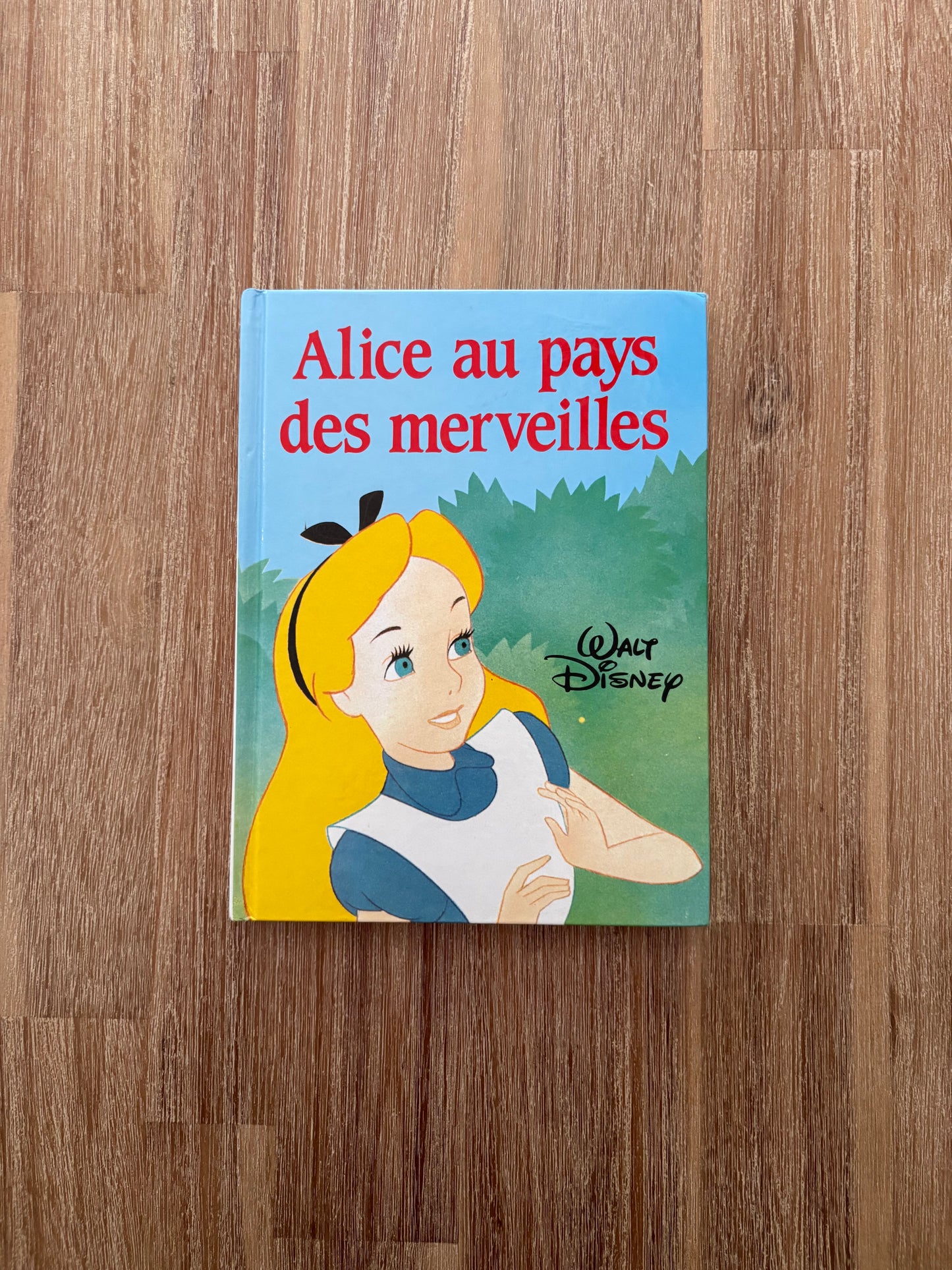  Alice au pays des merveilles