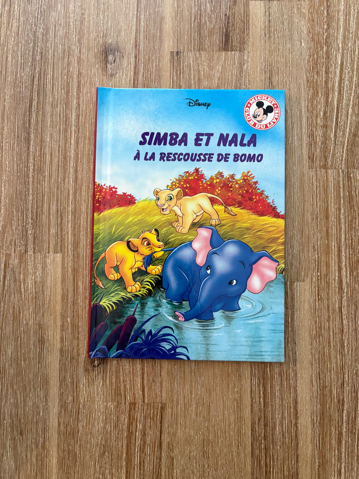 Simba et nala à la rescousse de bumbo