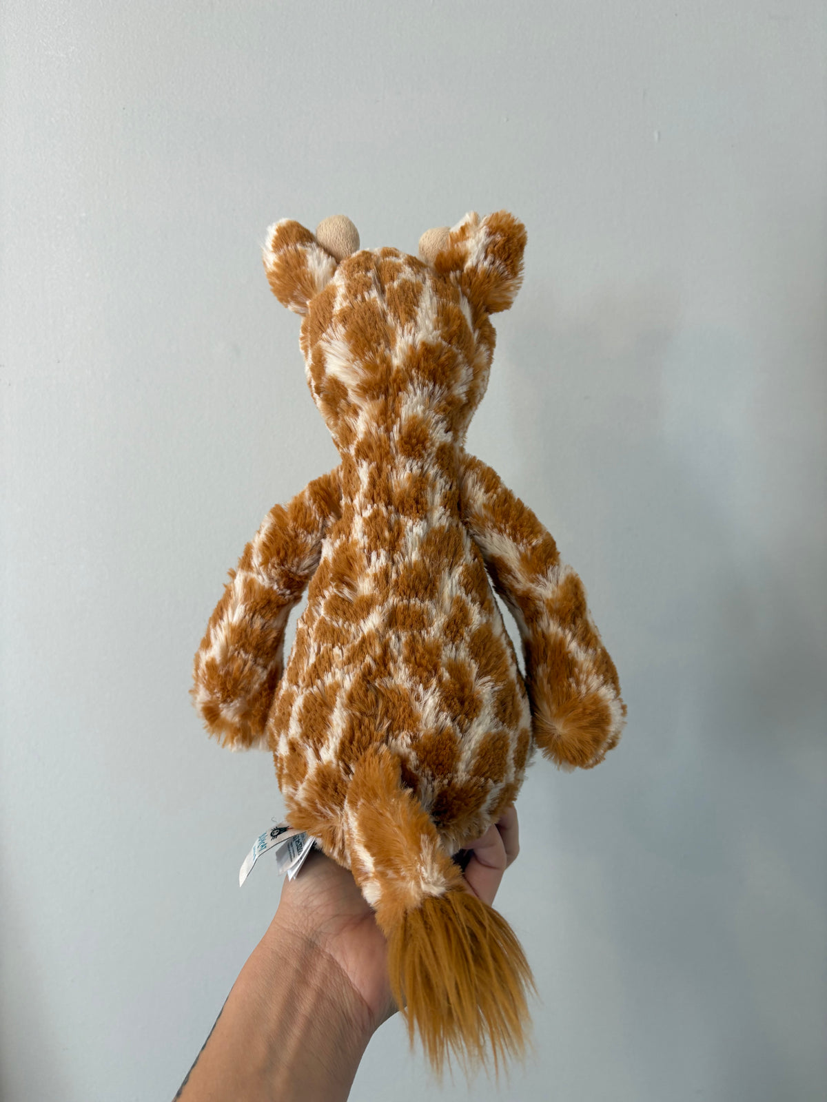 Peluche Jellycat / Bashful Giraffe