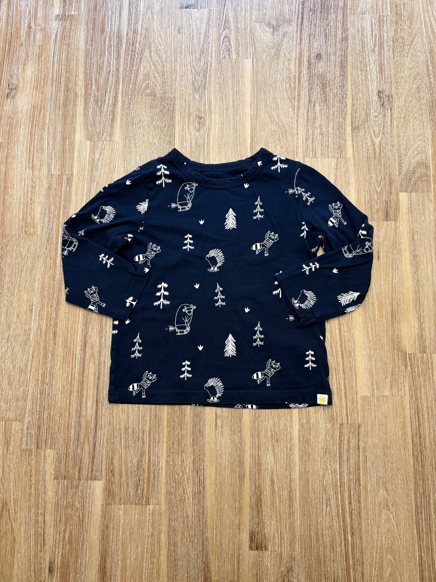 3-4 ans *Petit / Little earthling