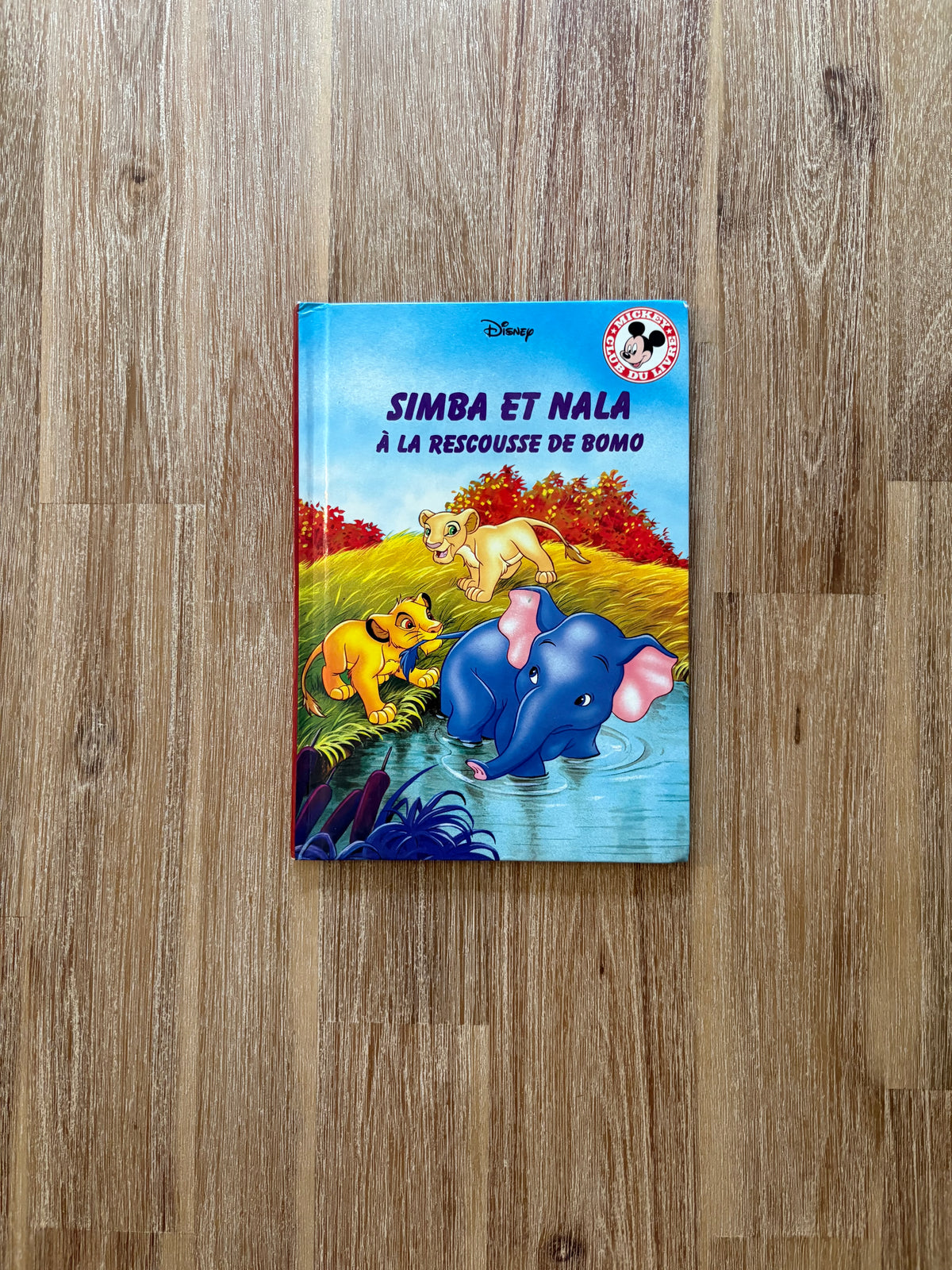 Simba et nala à la rescousse de Bomo