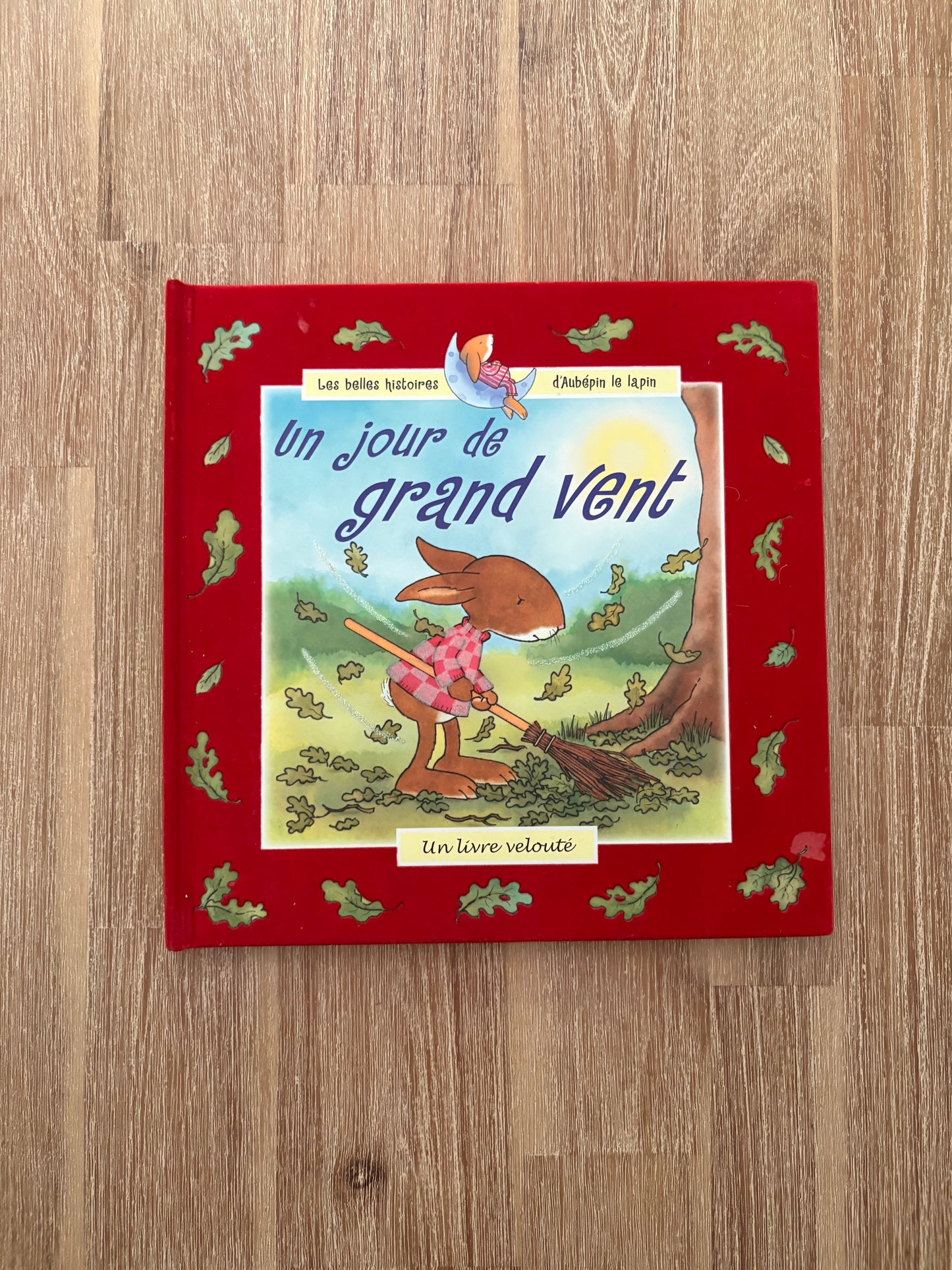 Les belles histoires d'Aubépin le lapin / Un jour de grand vent