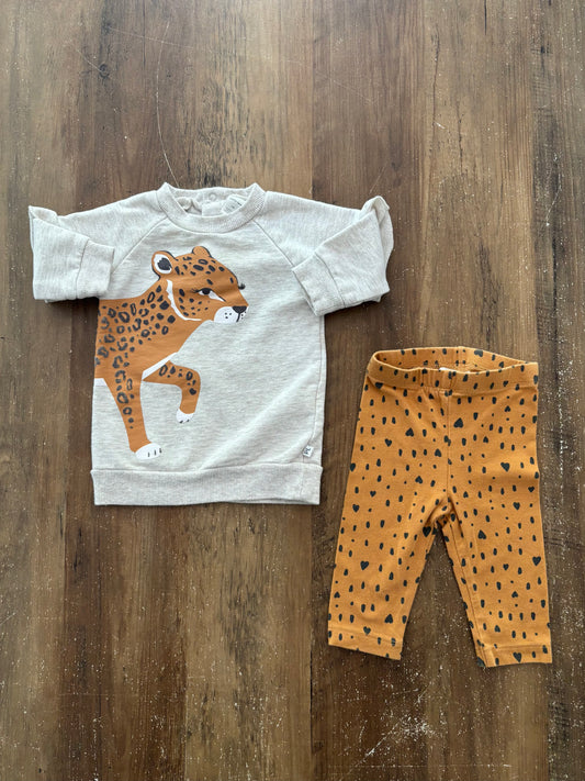 3 mois / Petit lem