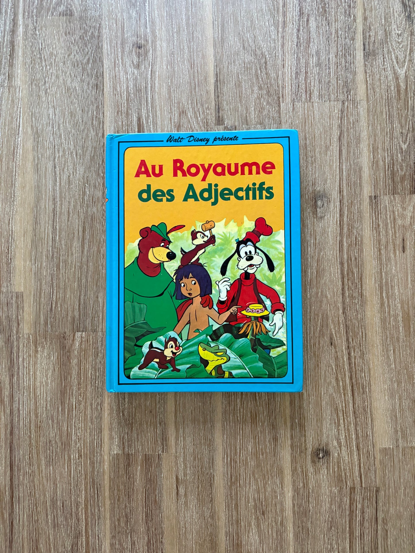 *Vintage* Au royaume des adjectifs