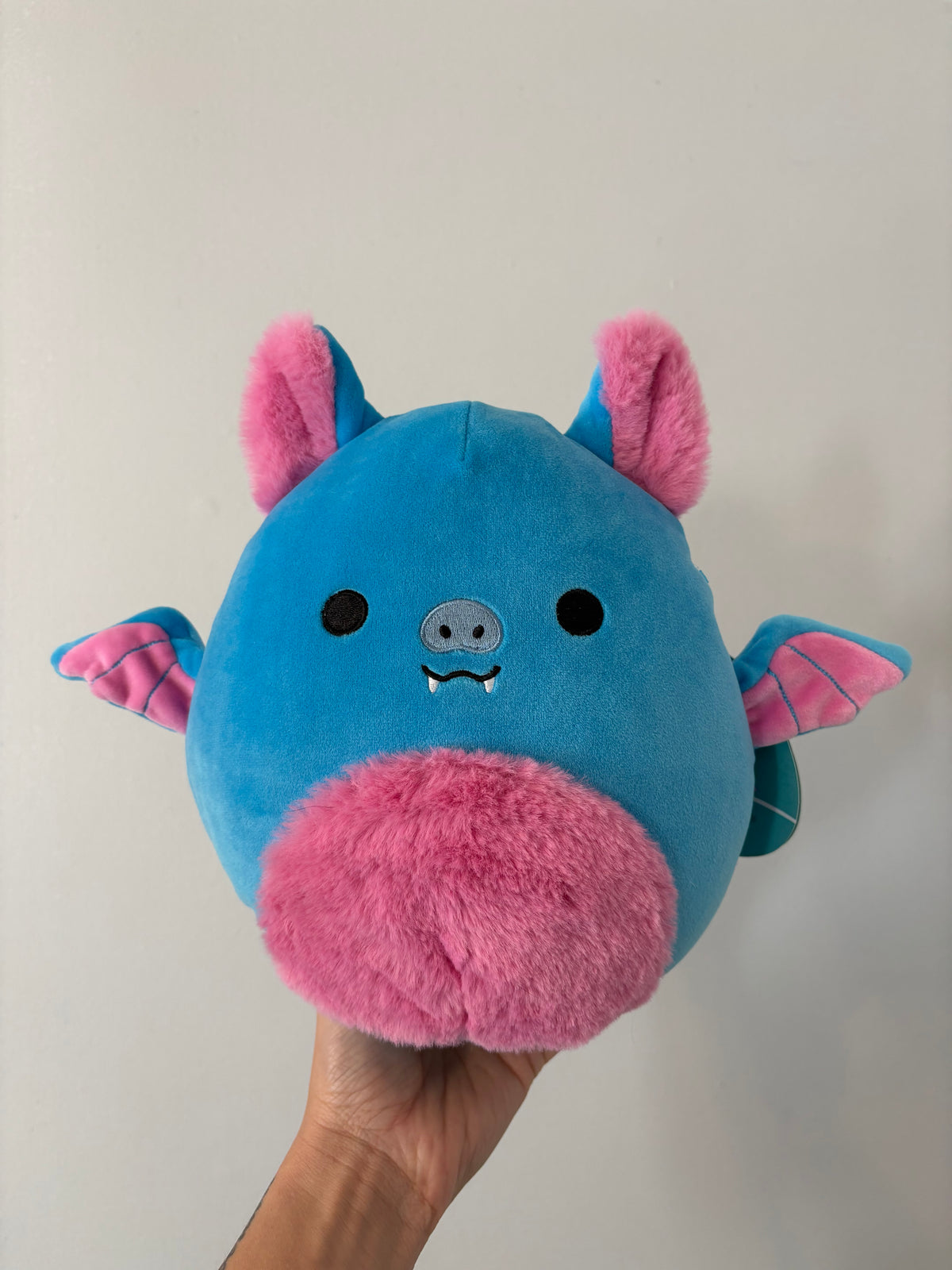 *Neuf* Peluche Squishmallows / Boyle