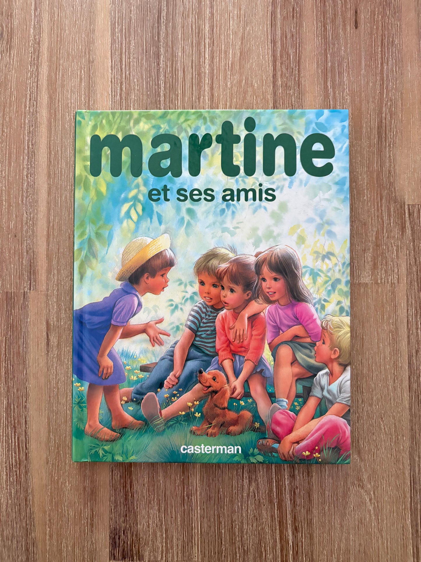 Martine et ses amis
