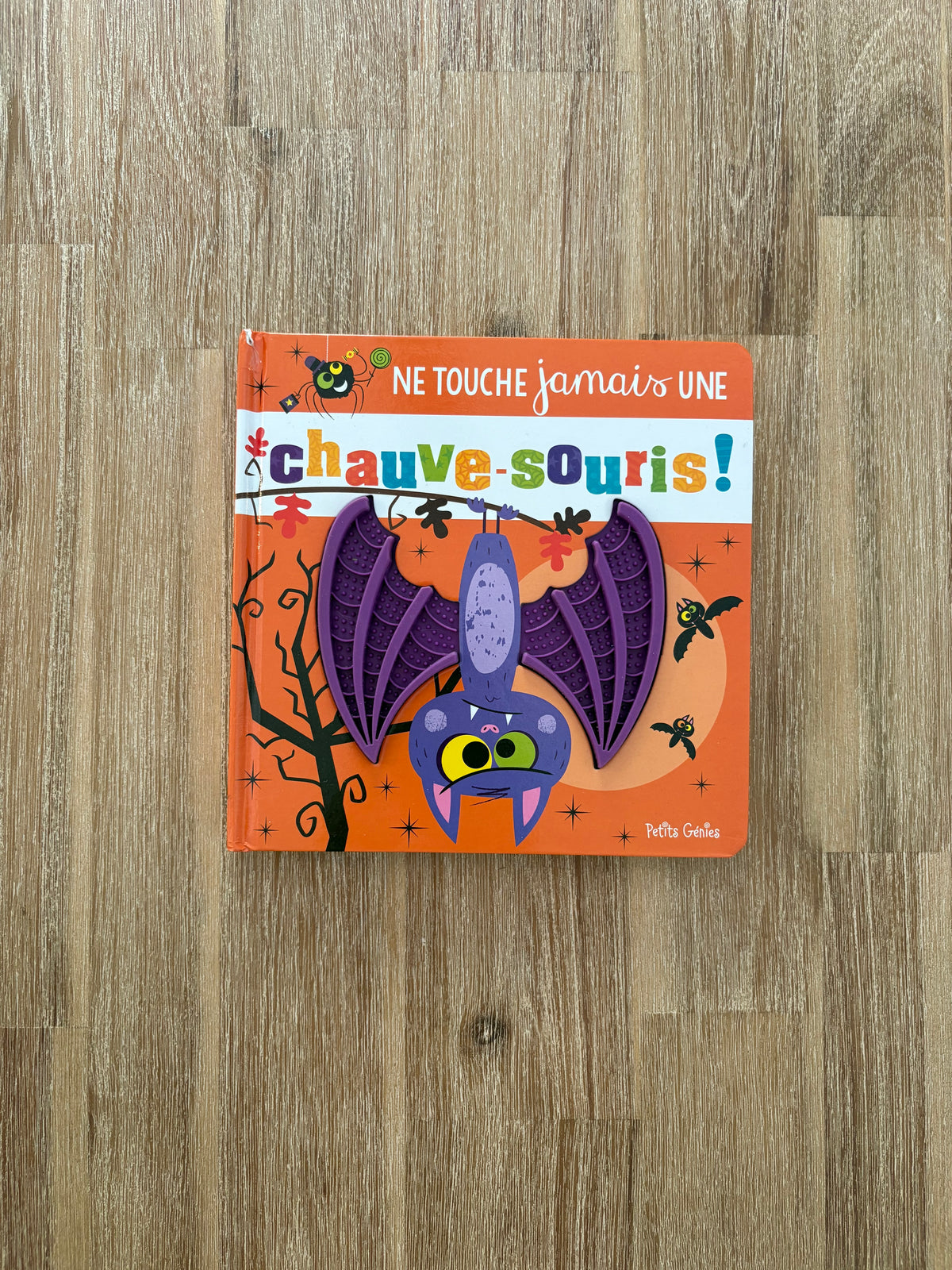 *Imparfait coin* Ne touche jamais une chauve-souris
