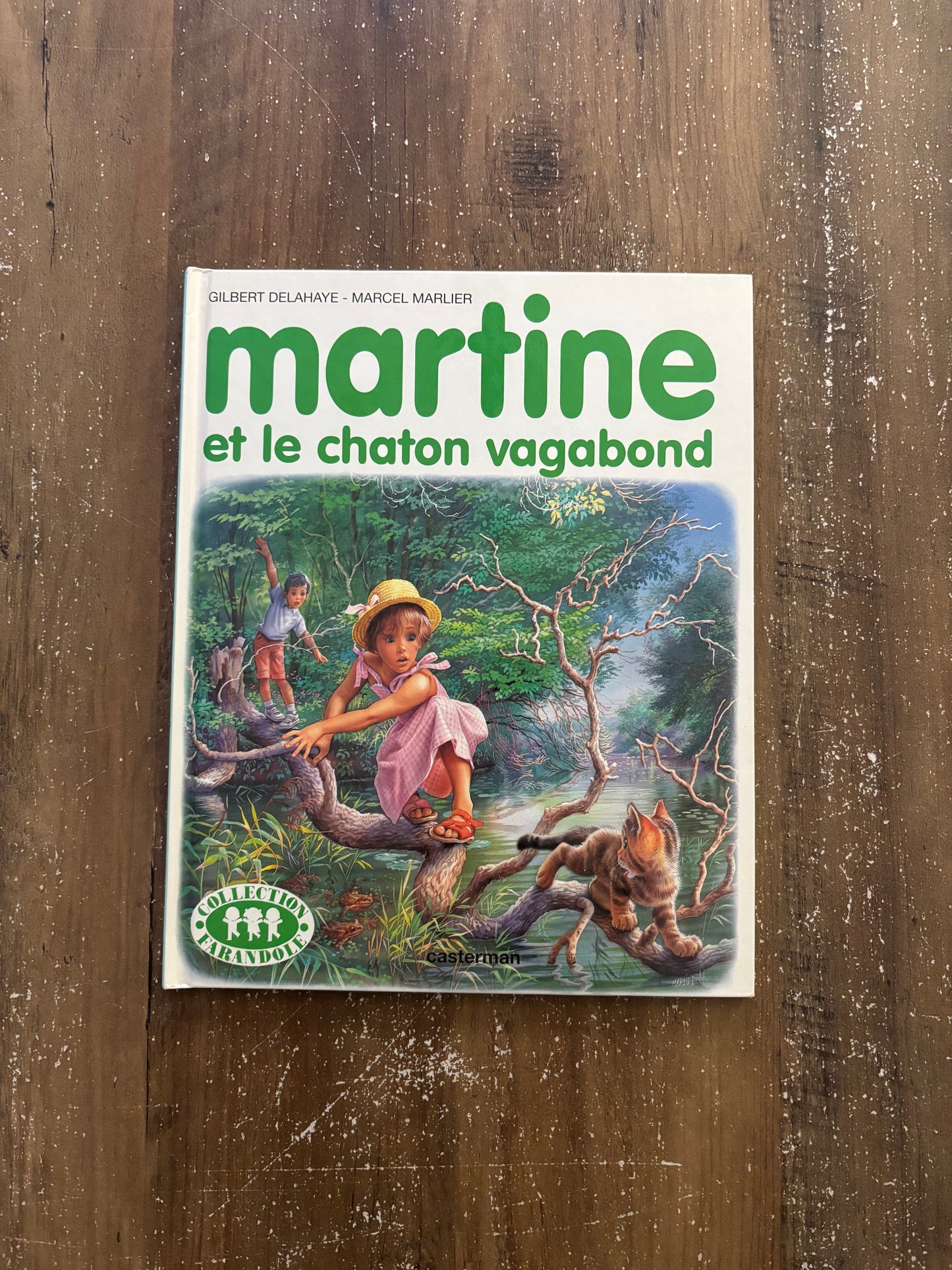 Martine et le chat vagabond