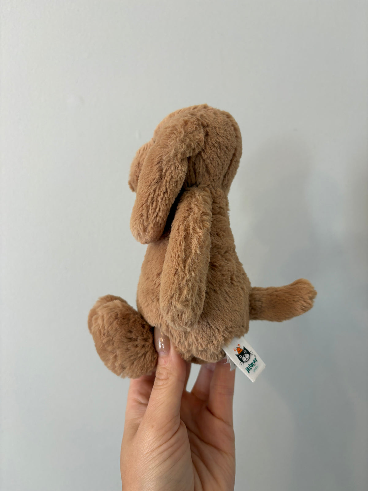 Peluche Jellycat / Bashful Toffe puppy