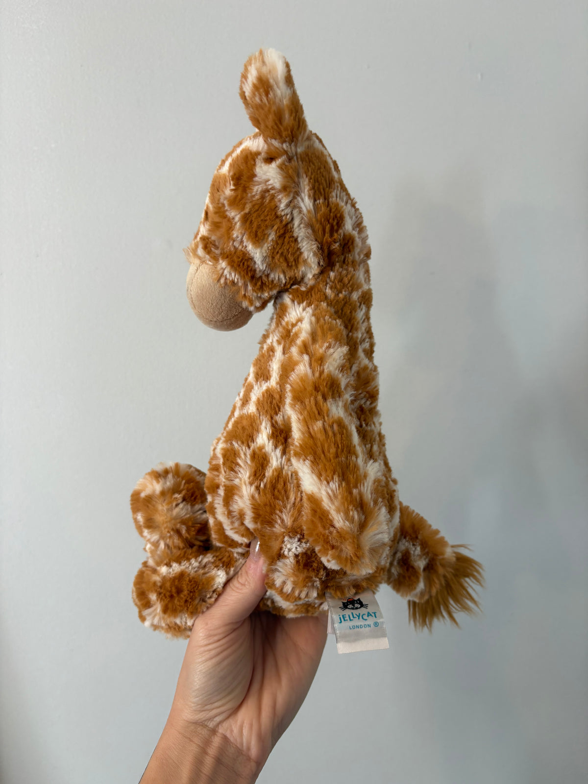 Peluche Jellycat / Bashful Giraffe