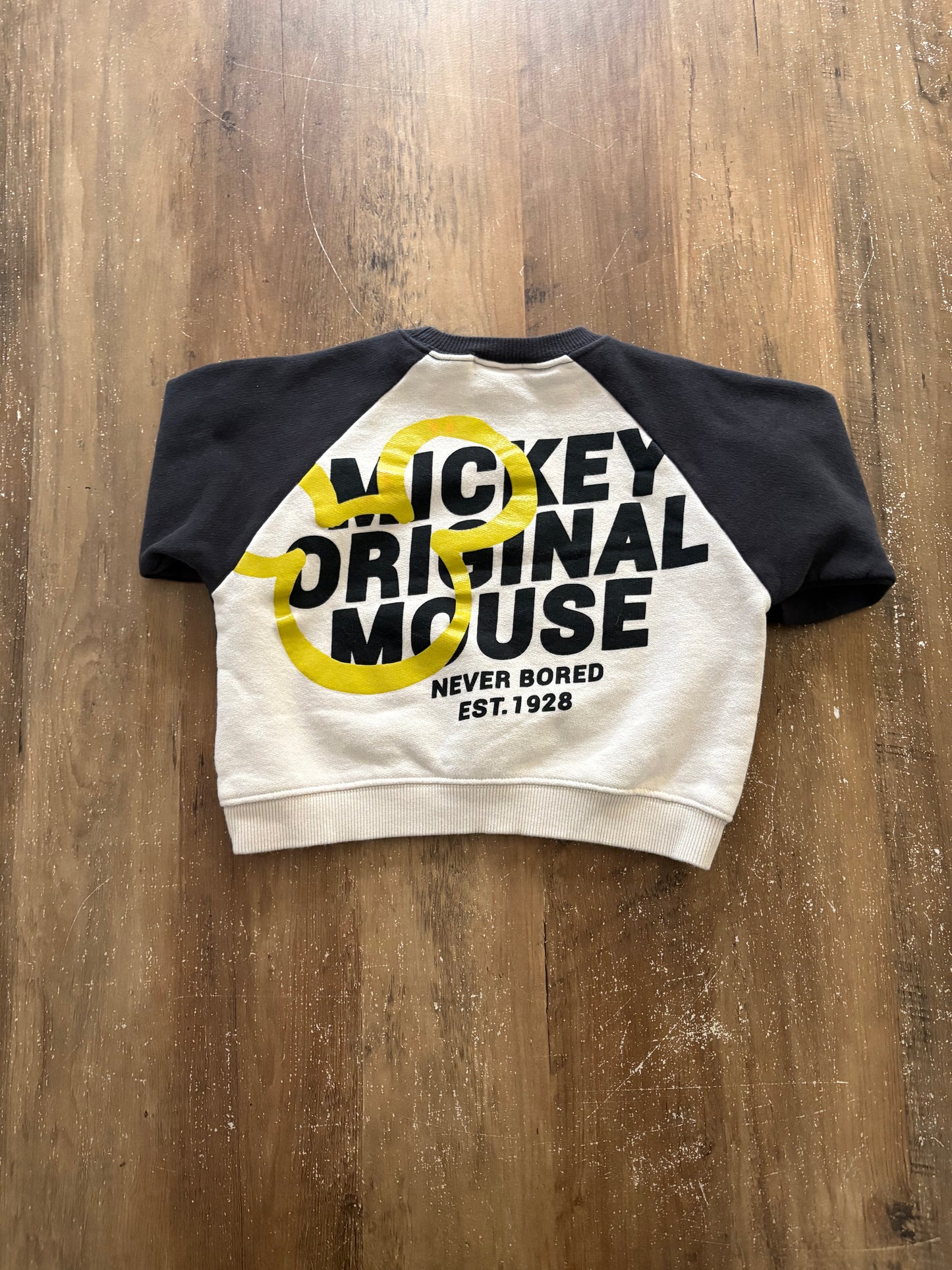 2-3 ans *Petit / Zara x Disney