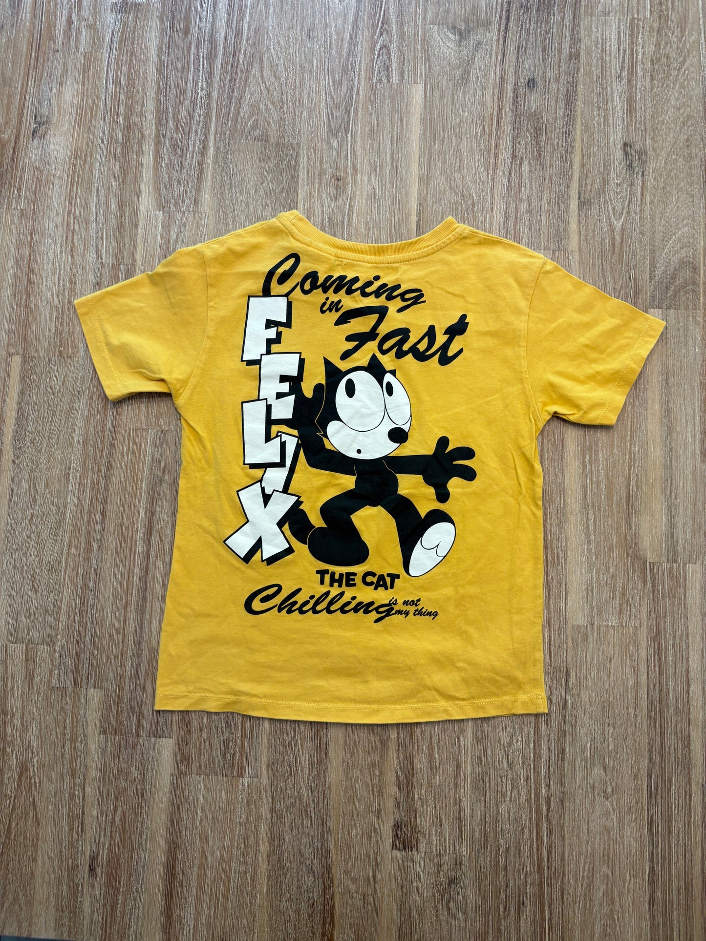 *Imparfait* 6 ans / Zara x Felix le chat