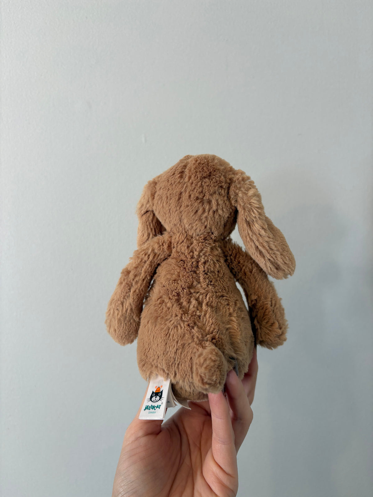 Peluche Jellycat / Bashful Toffe puppy