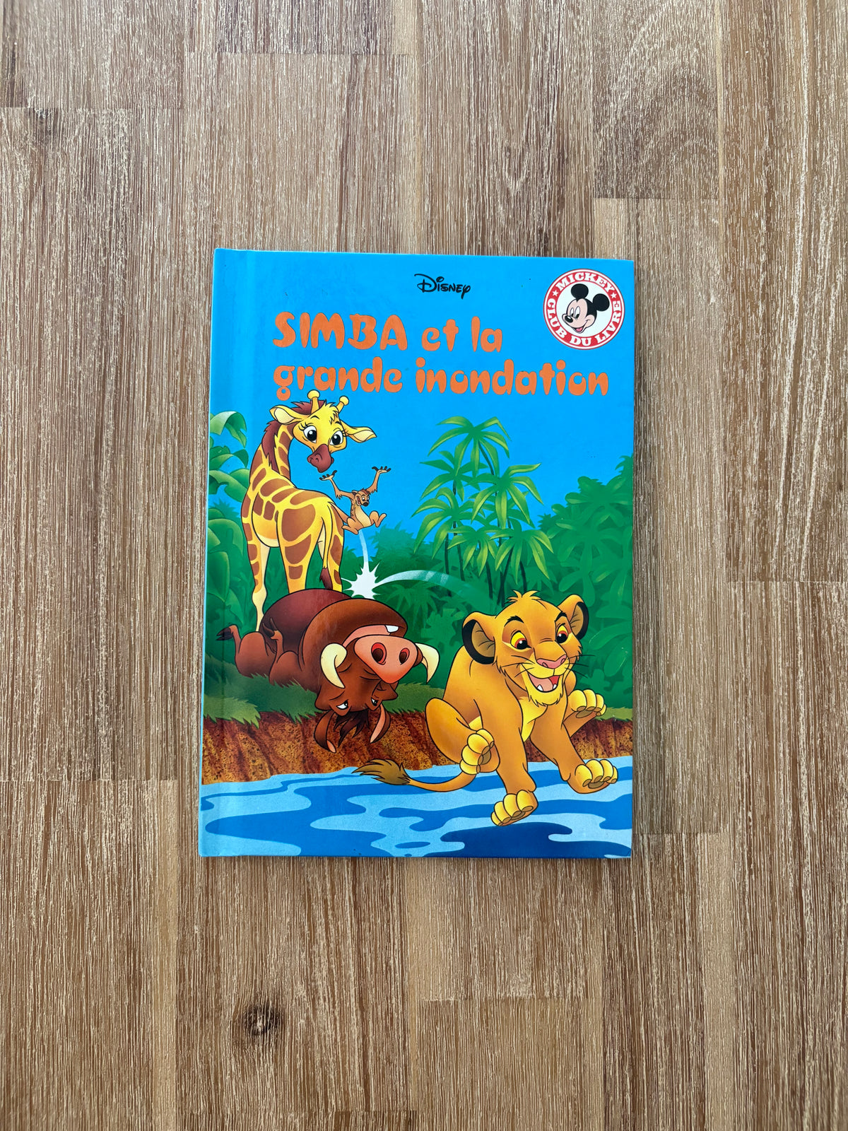 Simba et la grande inondation