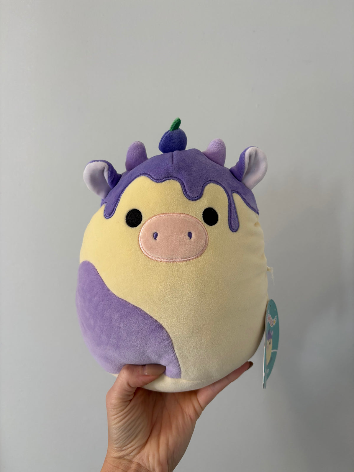 *Neuf* Peluche Squishmallows / Benito