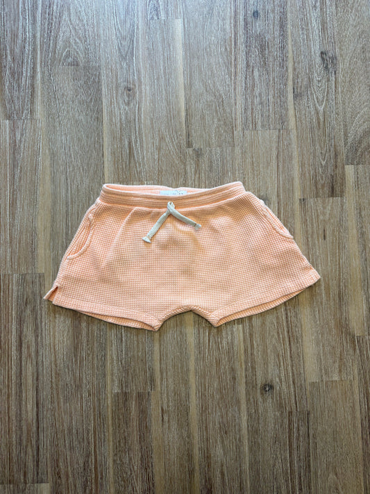 1-3 mois *Grand / Zara
