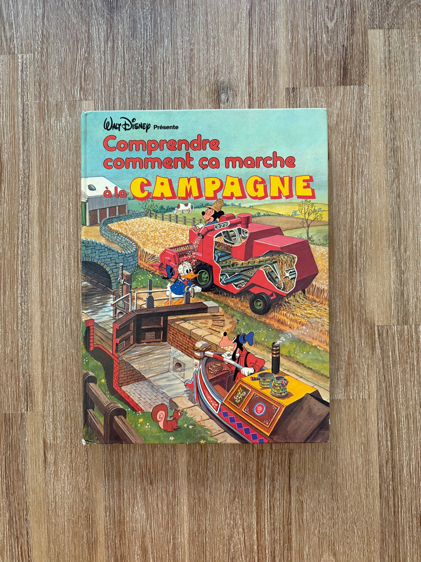 Comprendre comment ça marche à la campagne (1980)
