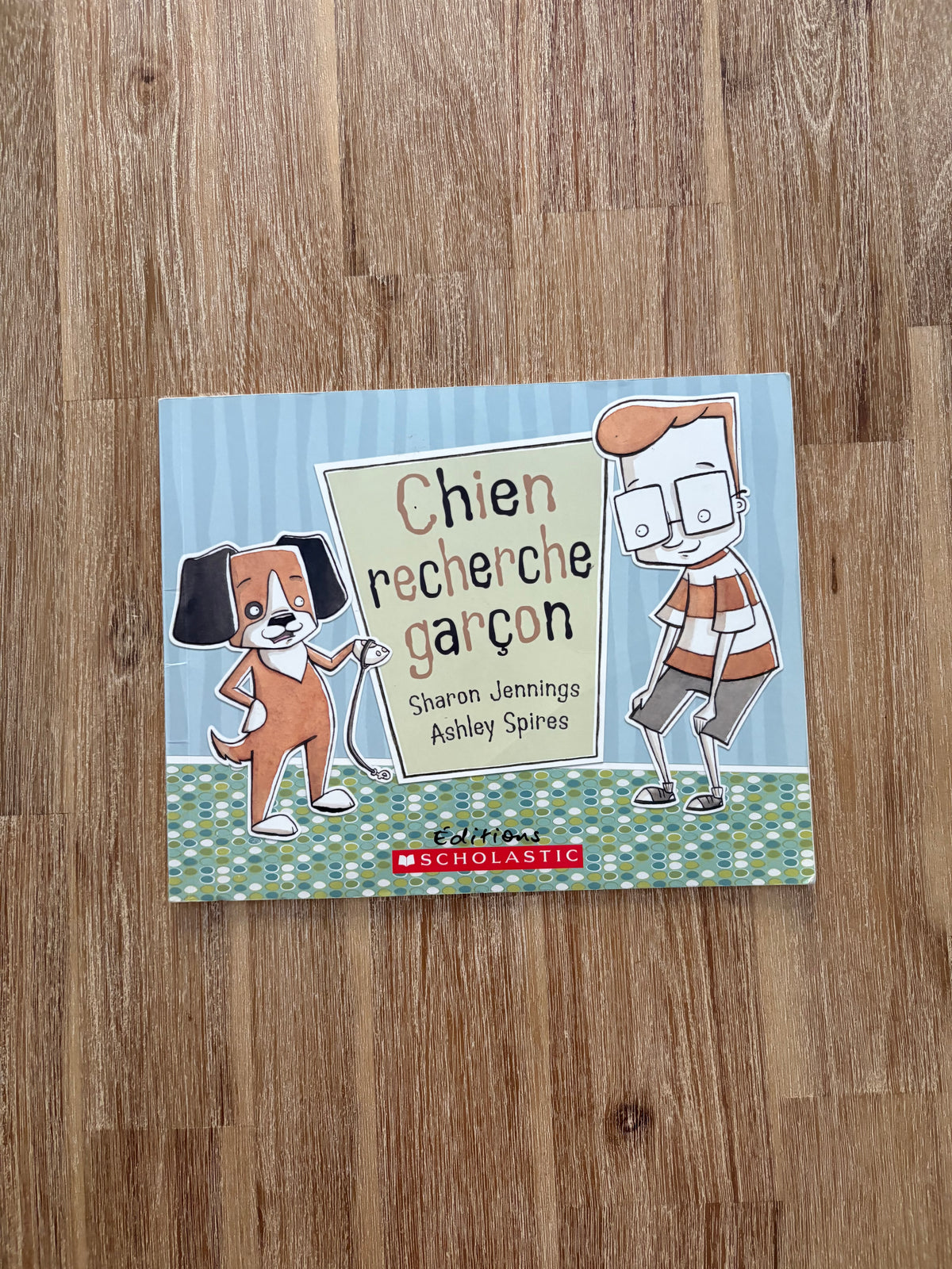 Chien recherche garçon