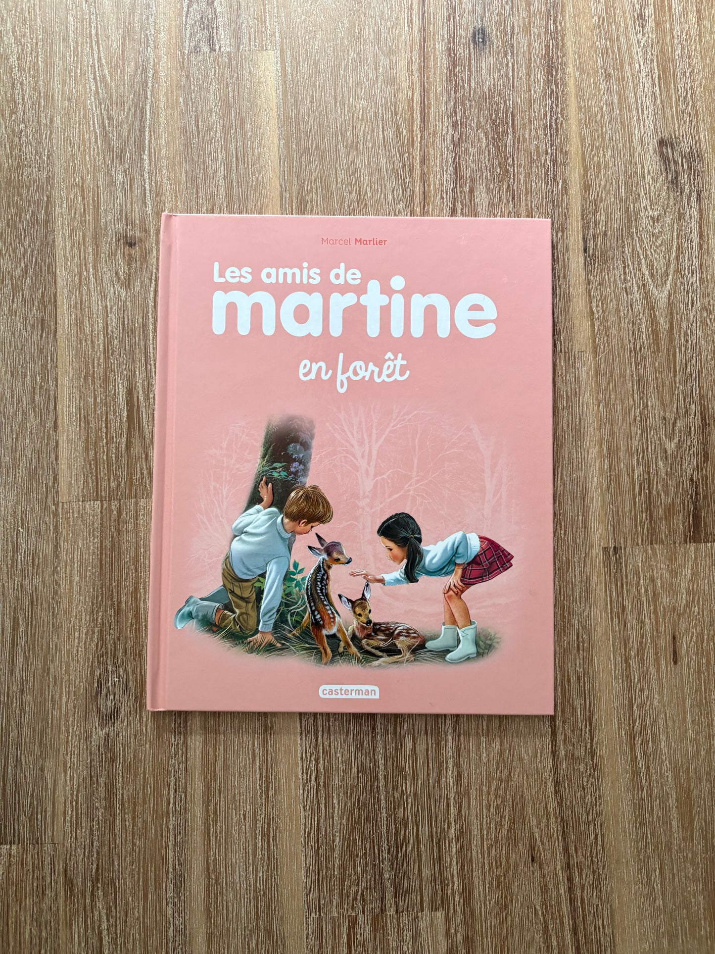 Les amis de Martine en forêt