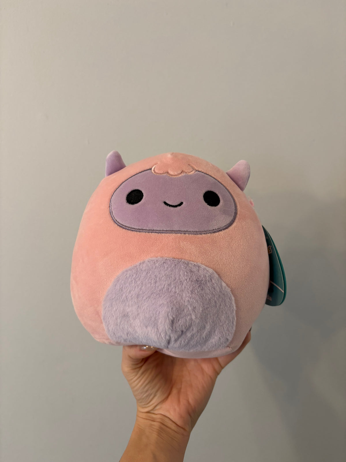 *Neuf* Peluche Squishmallows / Ronalda