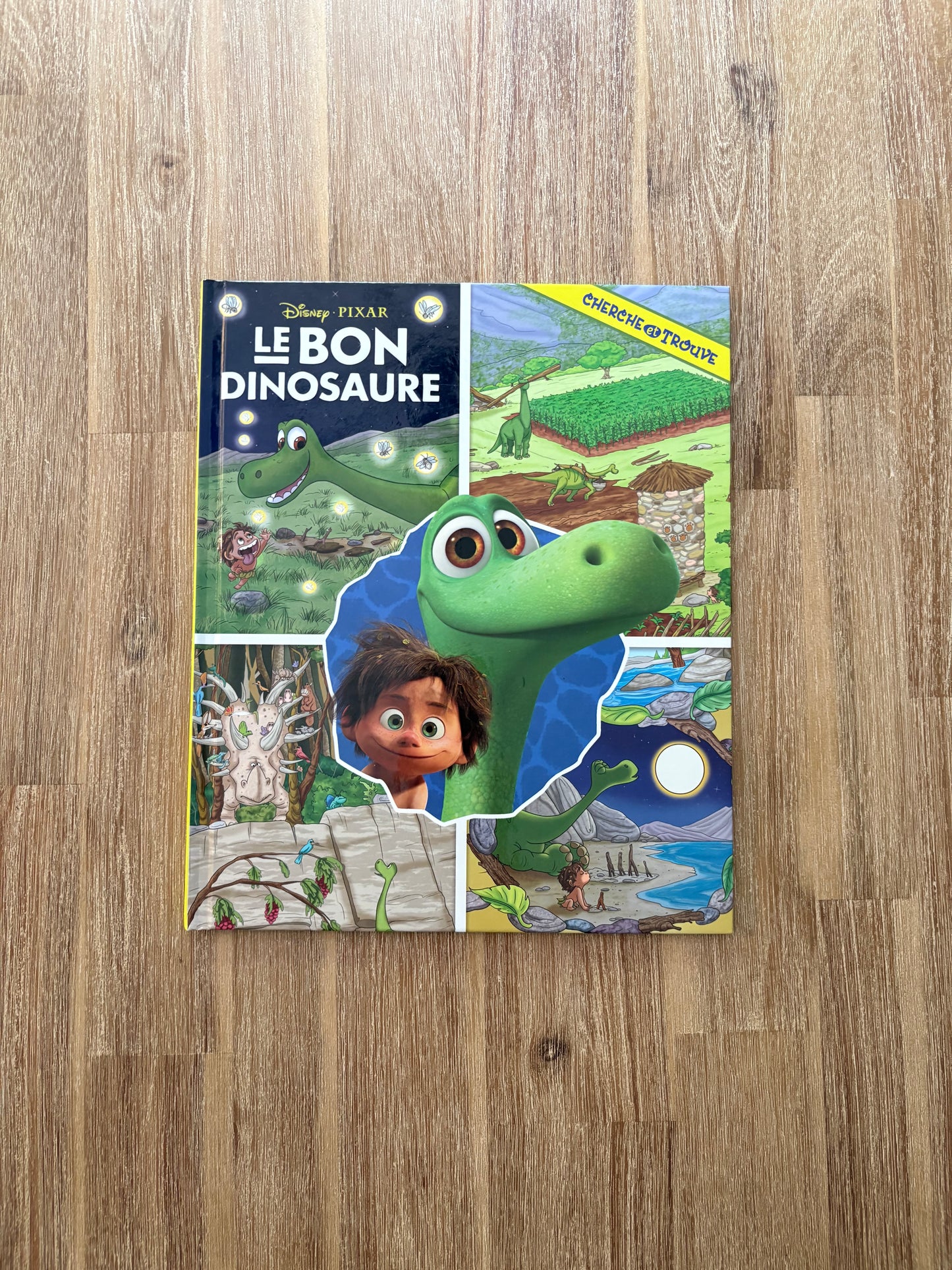 Cherche et trouve le bon dinosaure
