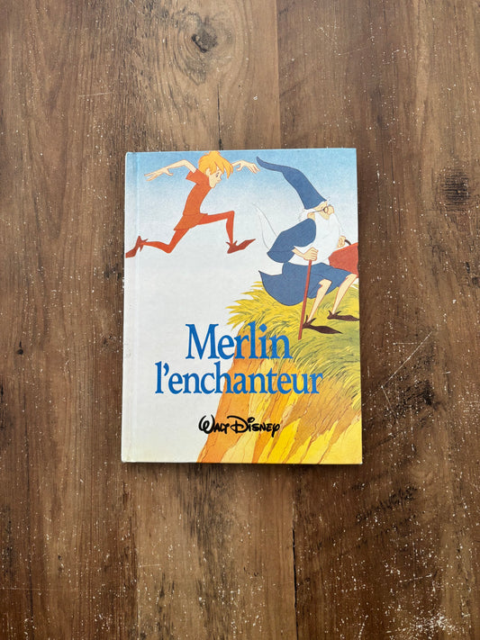 Merlin l'enchanteur