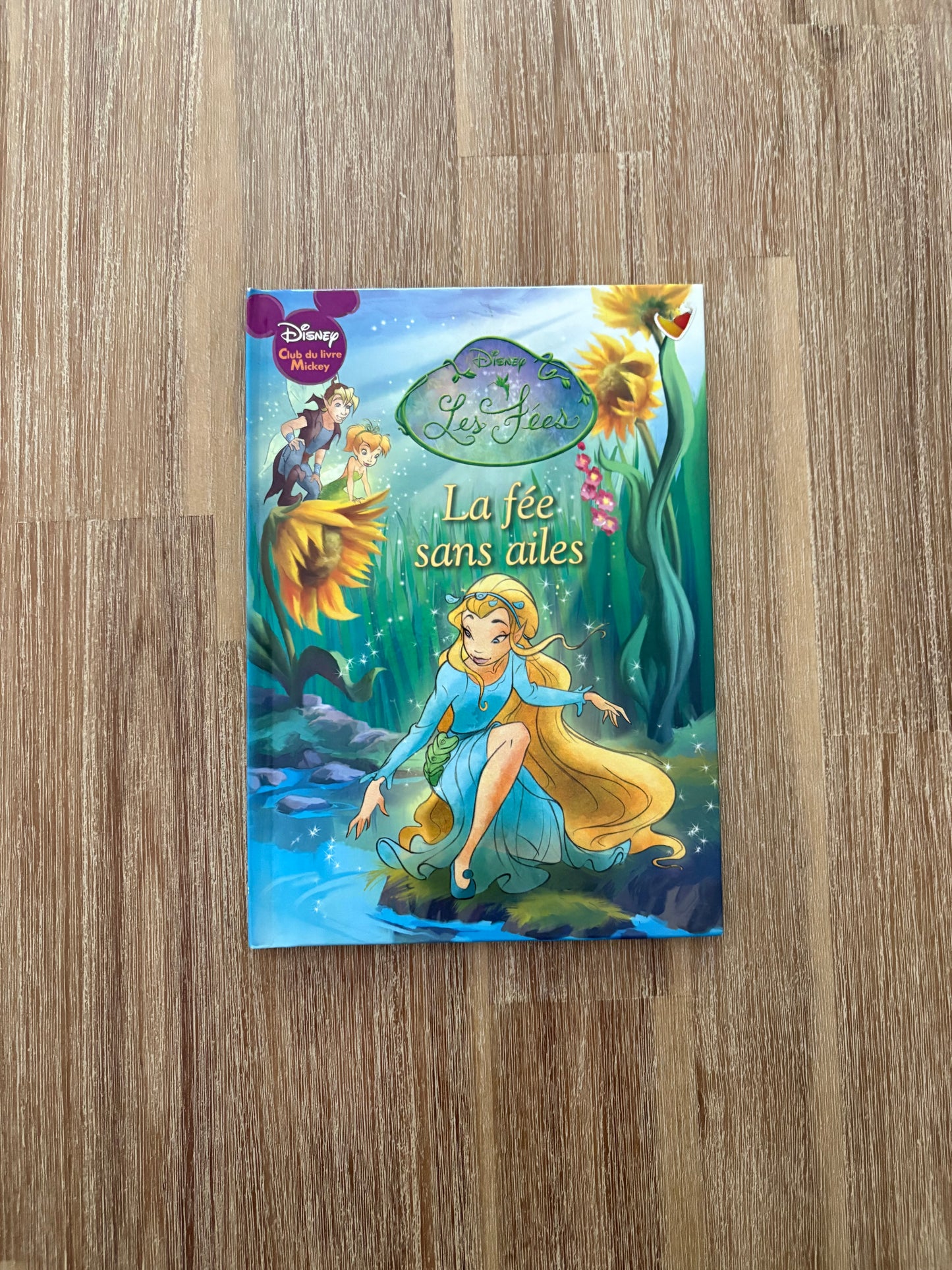 Disney les fées / la fée sans ailes