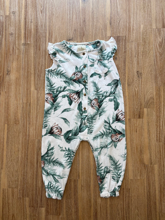 24 mois / Island Trotters