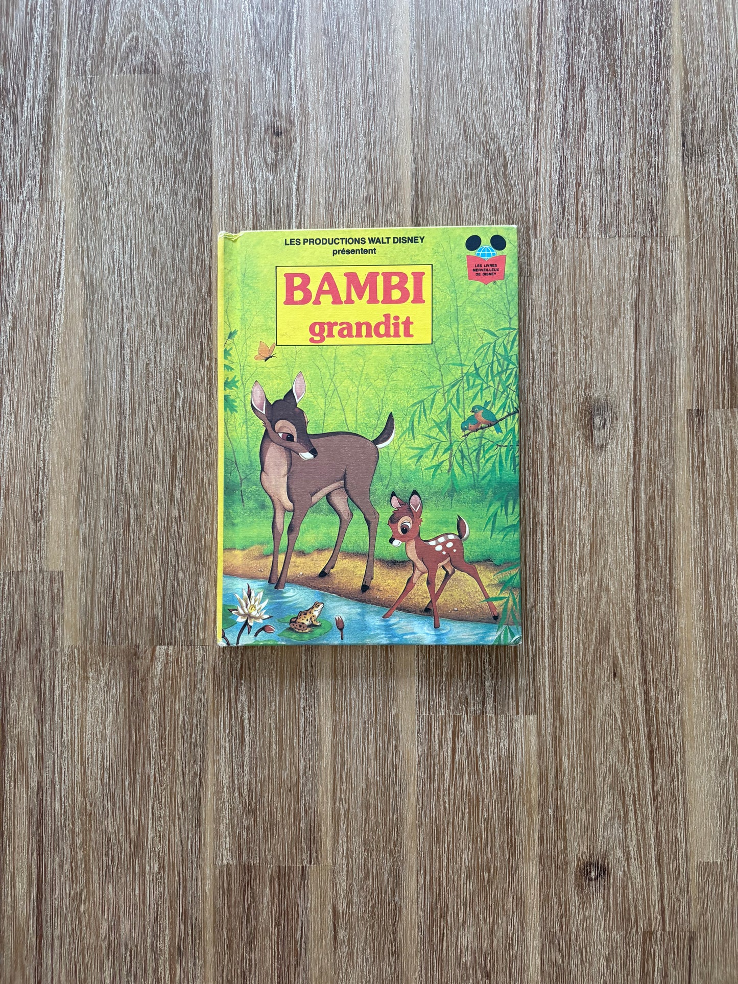 Bambi grandit