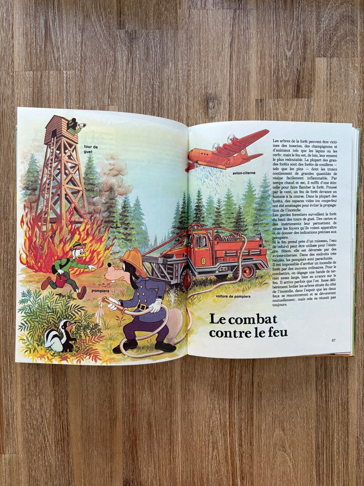 Comprendre comment ça marche à la campagne (1980)