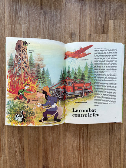 Comprendre comment ça marche à la campagne (1980)