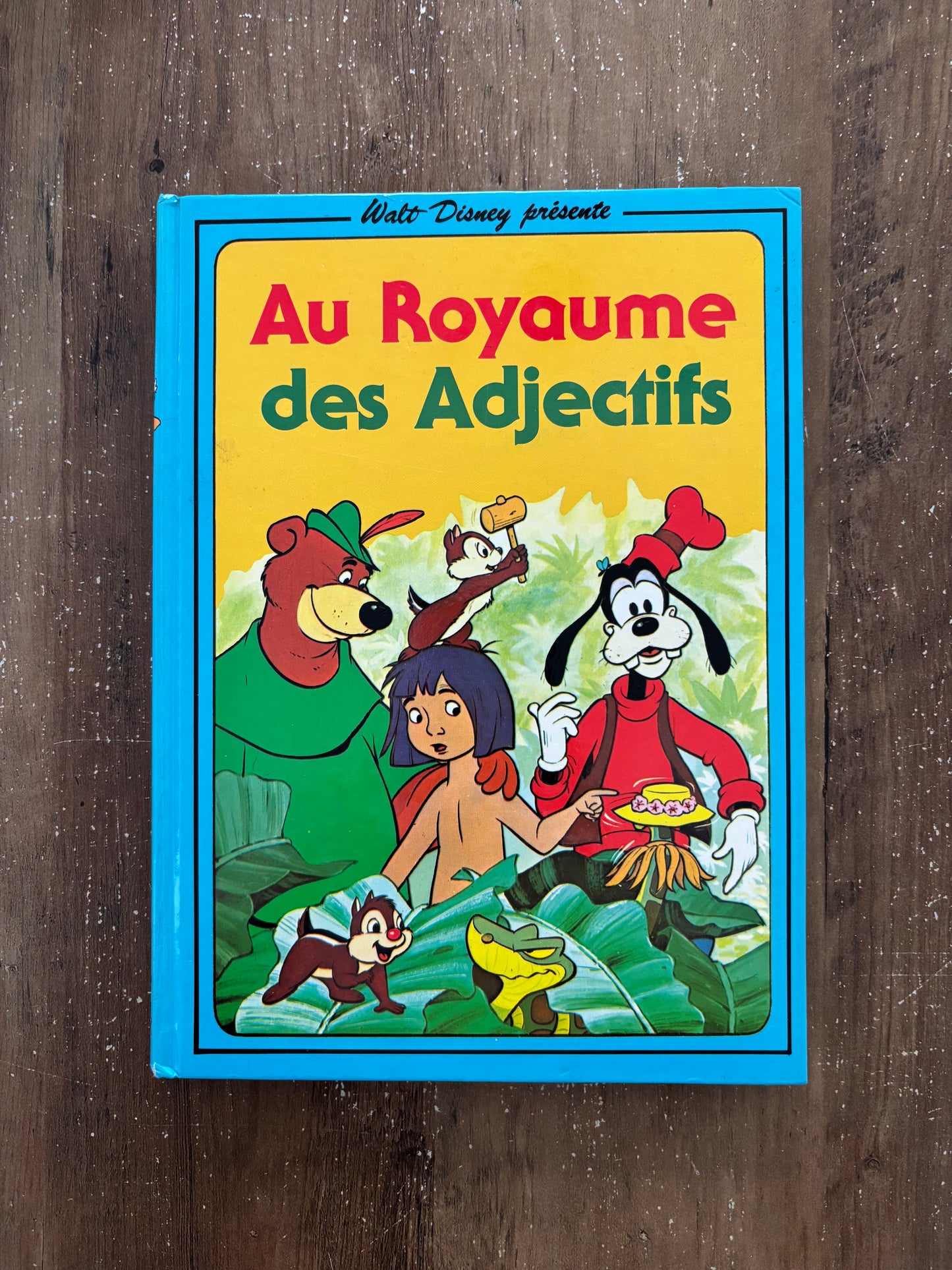 Au royaume des Adjectifs