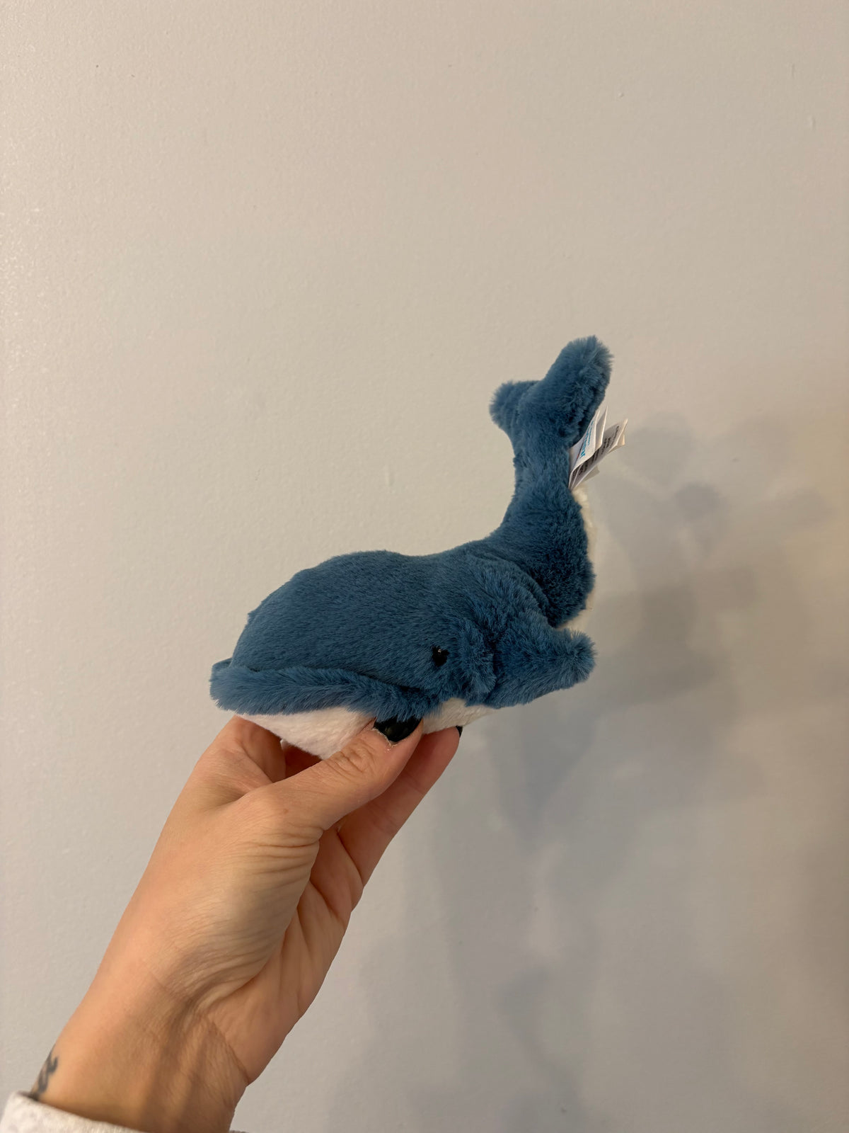 Tiny Wally Whale / Jellycat